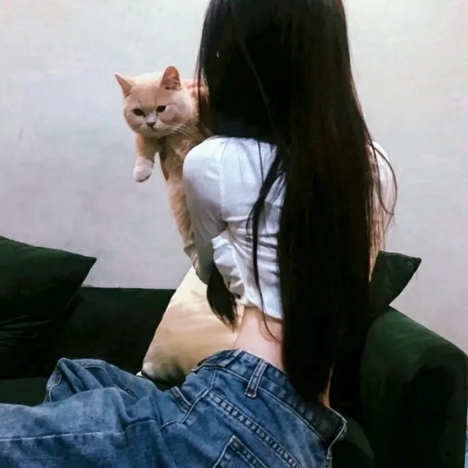虹猫蓝兔七侠传