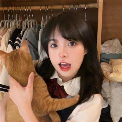 汤姆猫与杰利鼠